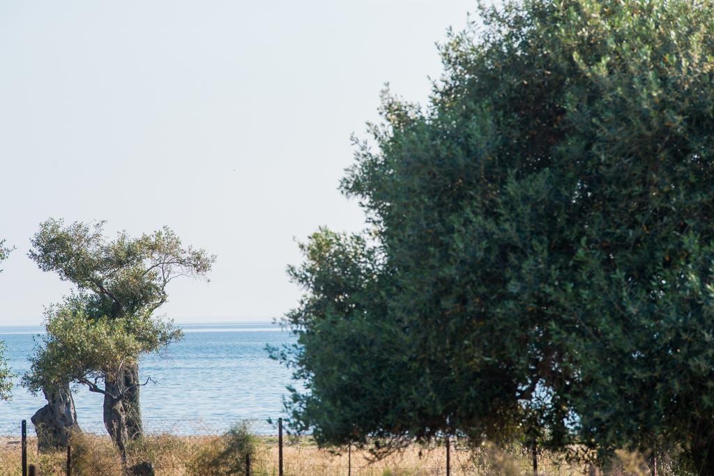 Terra Di Olive Apartment Потос Екстериор снимка